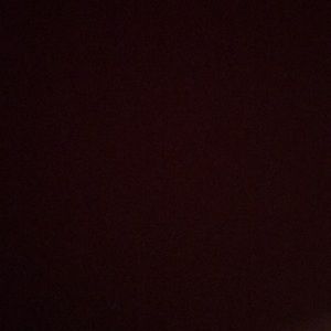 Meet your Posher, Lily